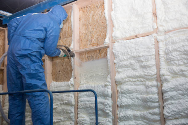 Best Insulation Air Sealing in Little Round Lake, WI